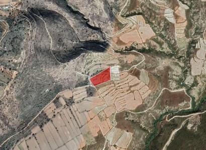 Pachna, Limassol Agricultural Field For Sale | WW27917