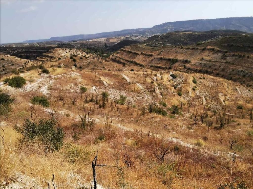 Vouni, Limassol Agricultural Field For Sale | WW27918