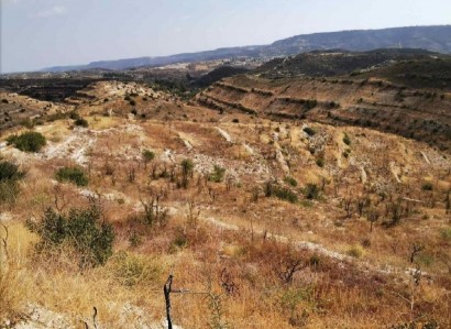 Vouni, Limassol Agricultural Field For Sale | WW27918