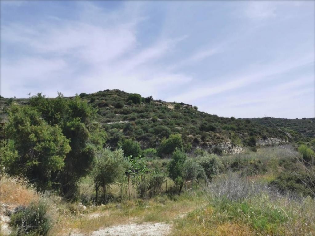 Pachna, Limassol Agricultural Field For Sale | WW27919