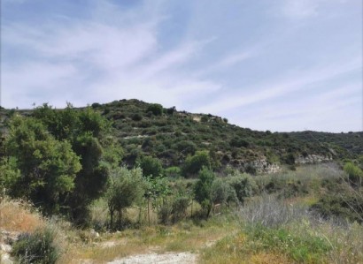 Pachna, Limassol Agricultural Field For Sale | WW27919