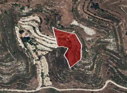 Pachna, Limassol Agricultural Field For Sale | WW27919