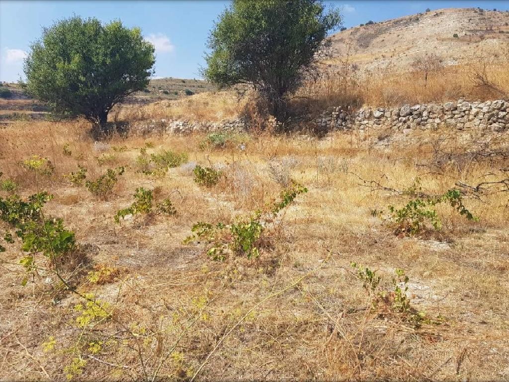 Pachna, Limassol Agricultural Field For Sale | WW27920