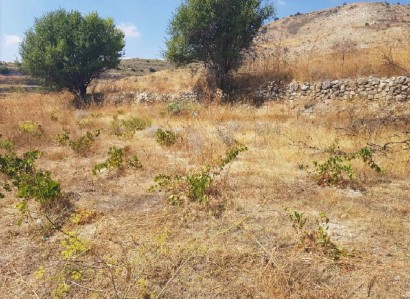 Pachna, Limassol Agricultural Field For Sale | WW27920