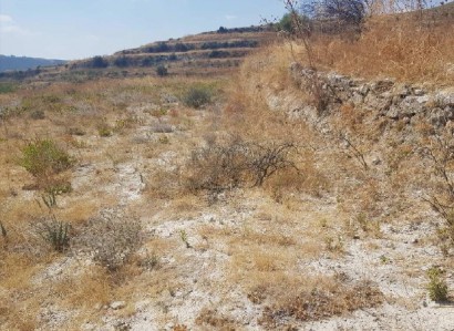 Pachna, Limassol Agricultural Field For Sale | WW27920