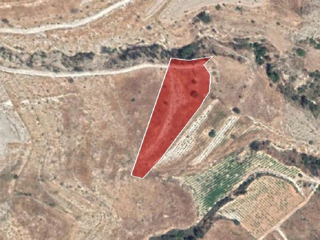 Field - Pachna, Limassol