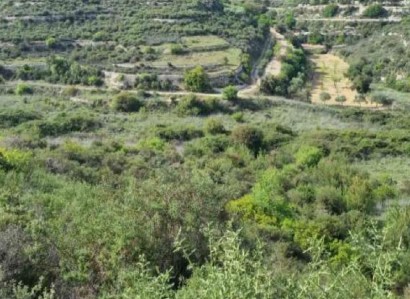 Pachna, Limassol Agricultural Field For Sale | WW27921