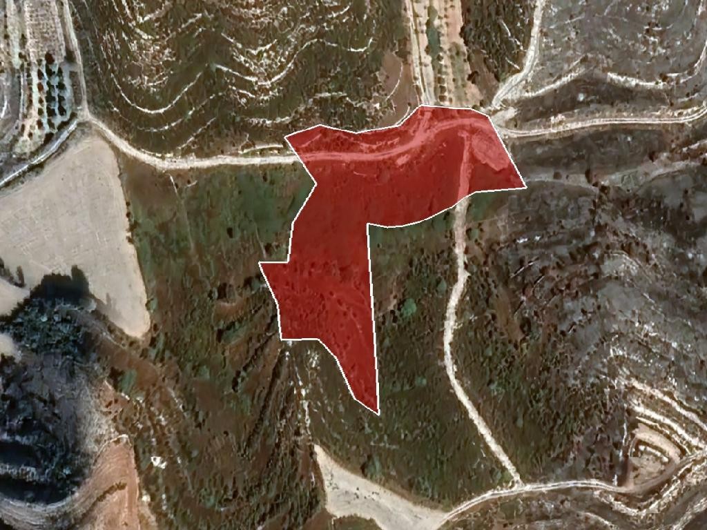 Field - Pachna, Limassol