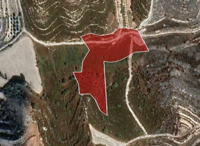 Pachna, Limassol Agricultural Field For Sale | WW27921
