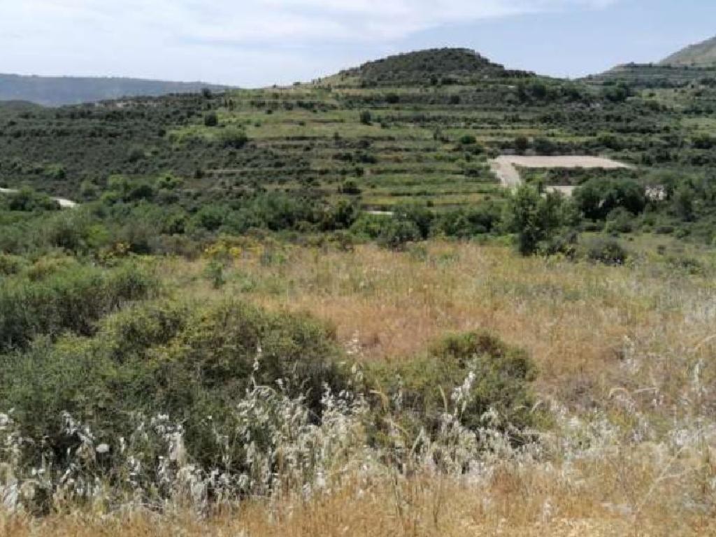 Pachna, Limassol Agricultural Field For Sale | WW27923