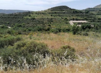 Pachna, Limassol Agricultural Field For Sale | WW27923