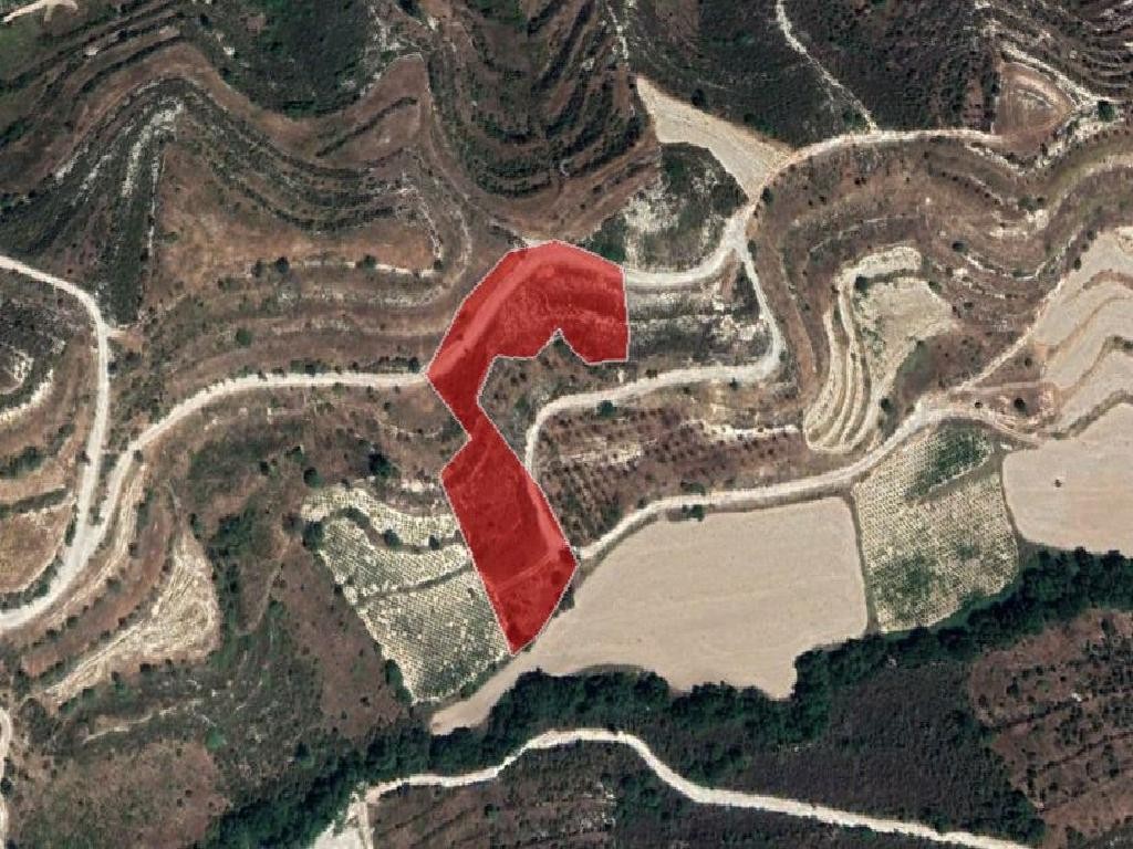 Field - Pachna, Limassol