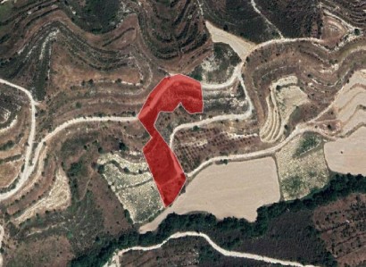 Pachna, Limassol Agricultural Field For Sale | WW27923