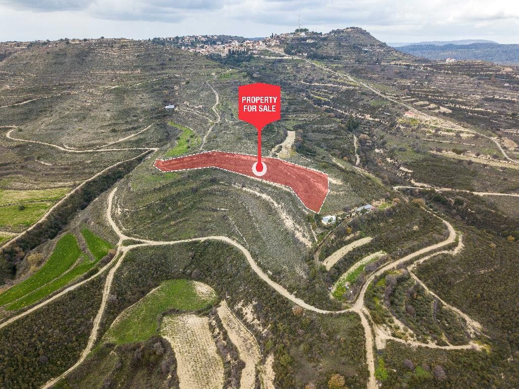 Pachna, Limassol Agricultural Field For Sale | WW27924