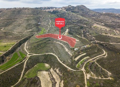 Pachna, Limassol Agricultural Field For Sale | WW27924