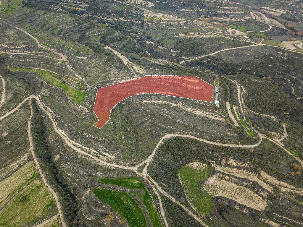 Field– Pachna, Limassol