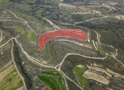 Pachna, Limassol Agricultural Field For Sale | WW27924