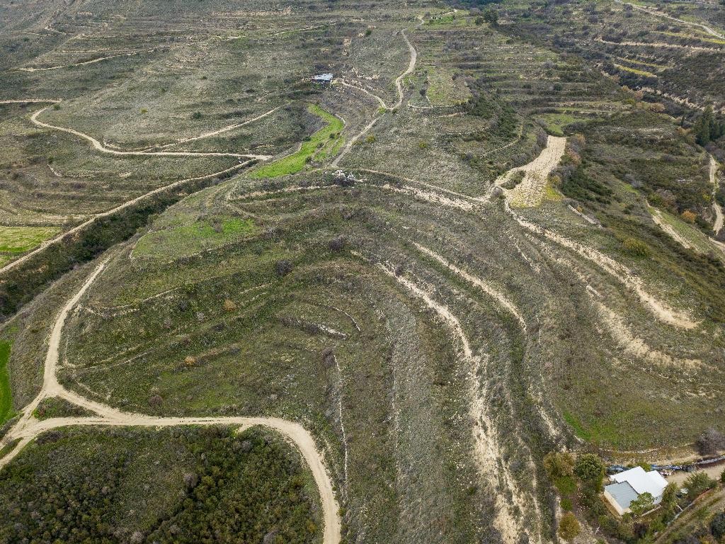 Field– Pachna, Limassol