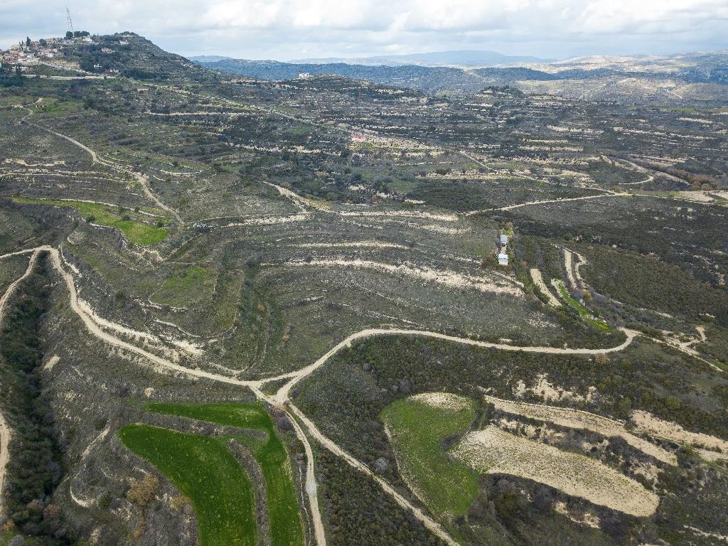 Field– Pachna, Limassol