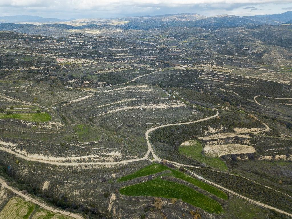 Field– Pachna, Limassol