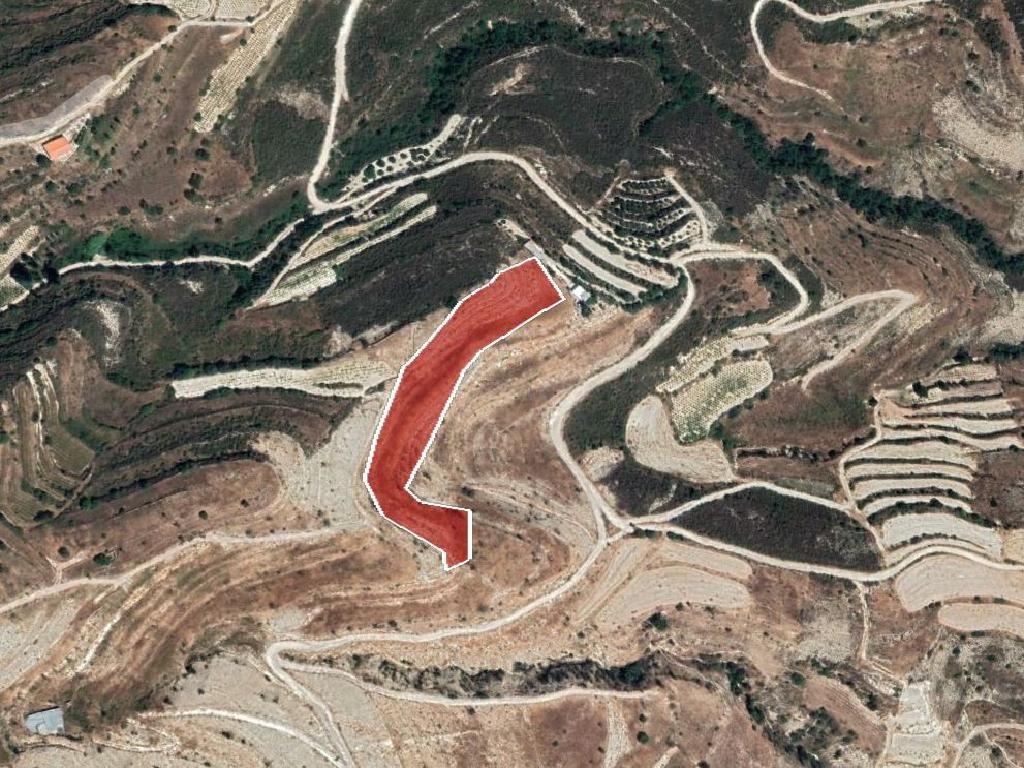 Field– Pachna, Limassol