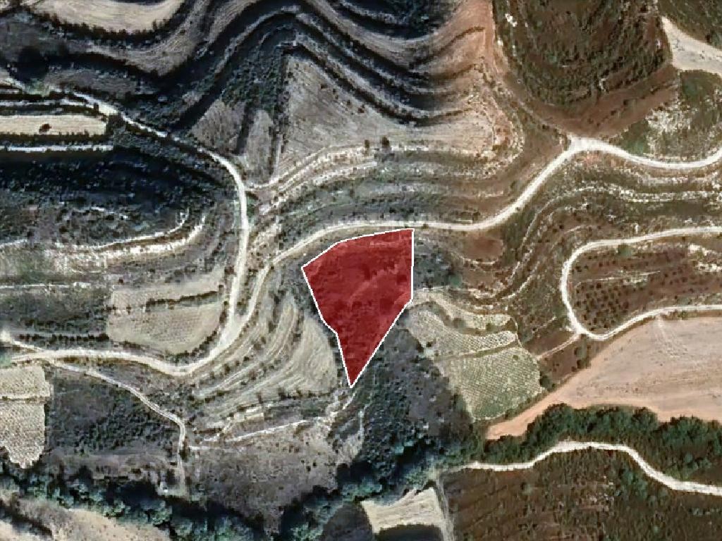 Field - Pachna, Limassol