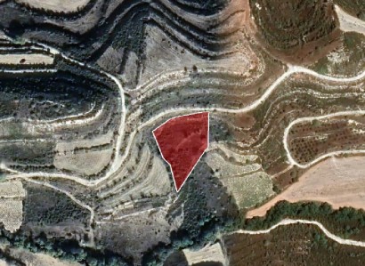 Pachna, Limassol Agricultural Field For Sale | WW27925