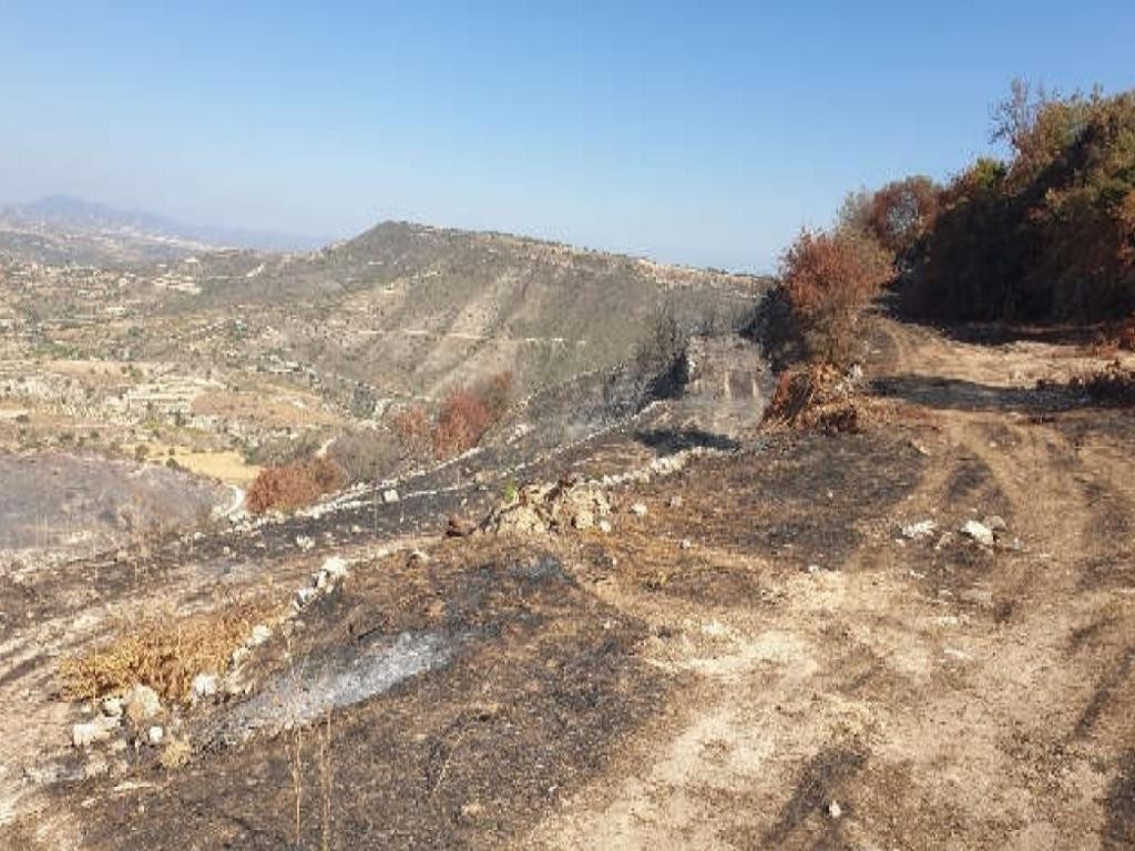 Pachna, Limassol Agricultural Field For Sale | WW27927