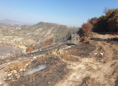 Pachna, Limassol Agricultural Field For Sale | WW27927
