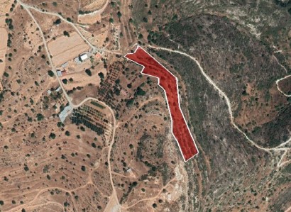 Pachna, Limassol Agricultural Field For Sale | WW27927