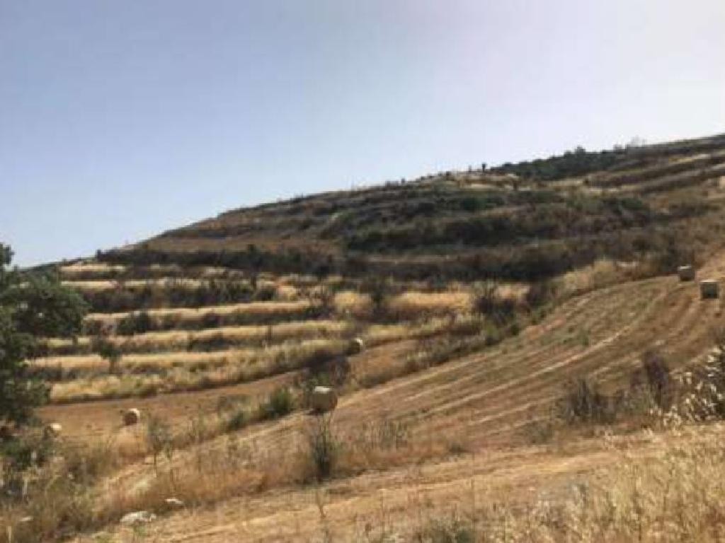 Vouni, Limassol Agricultural Field For Sale | WW27928