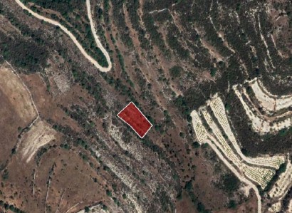 Vouni, Limassol Agricultural Field For Sale | WW27928