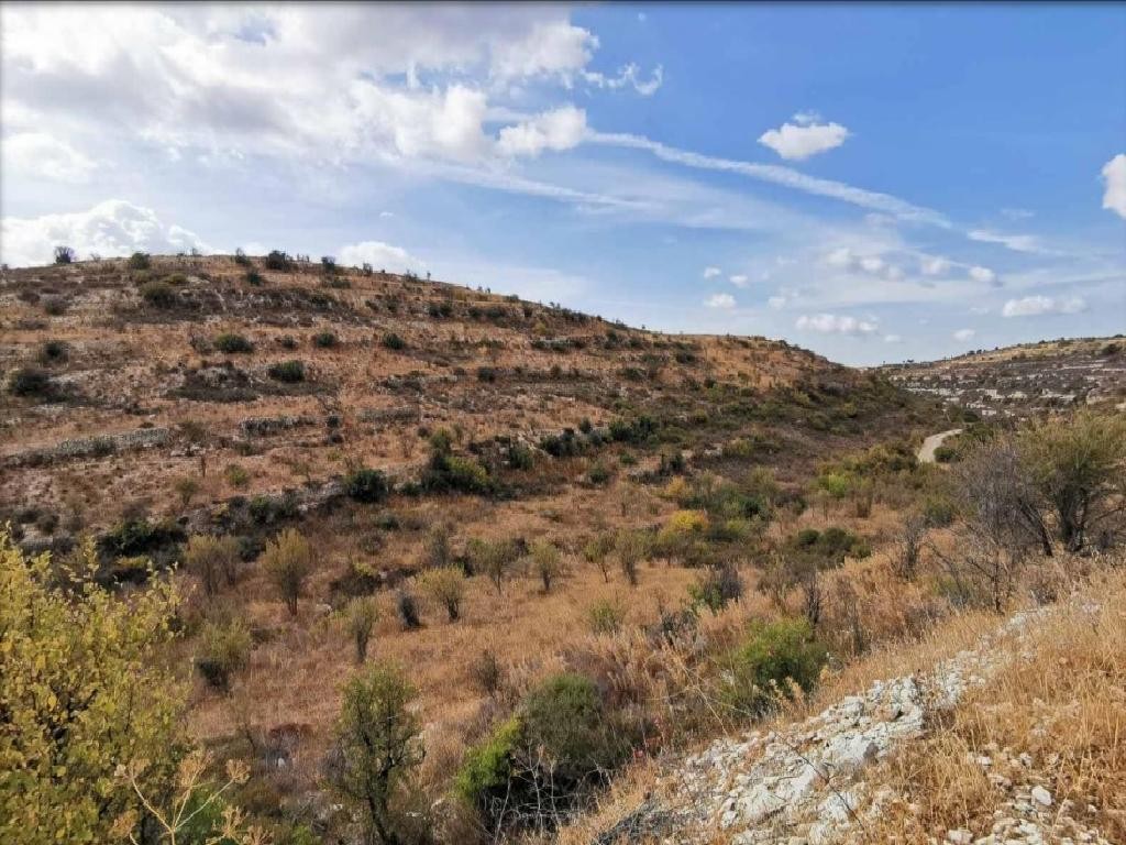 Vouni, Limassol Agricultural Field For Sale | WW27929