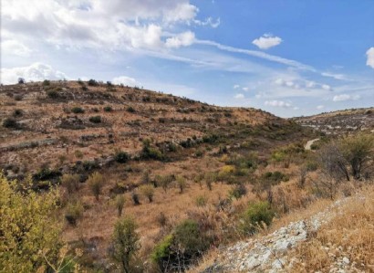 Vouni, Limassol Agricultural Field For Sale | WW27929