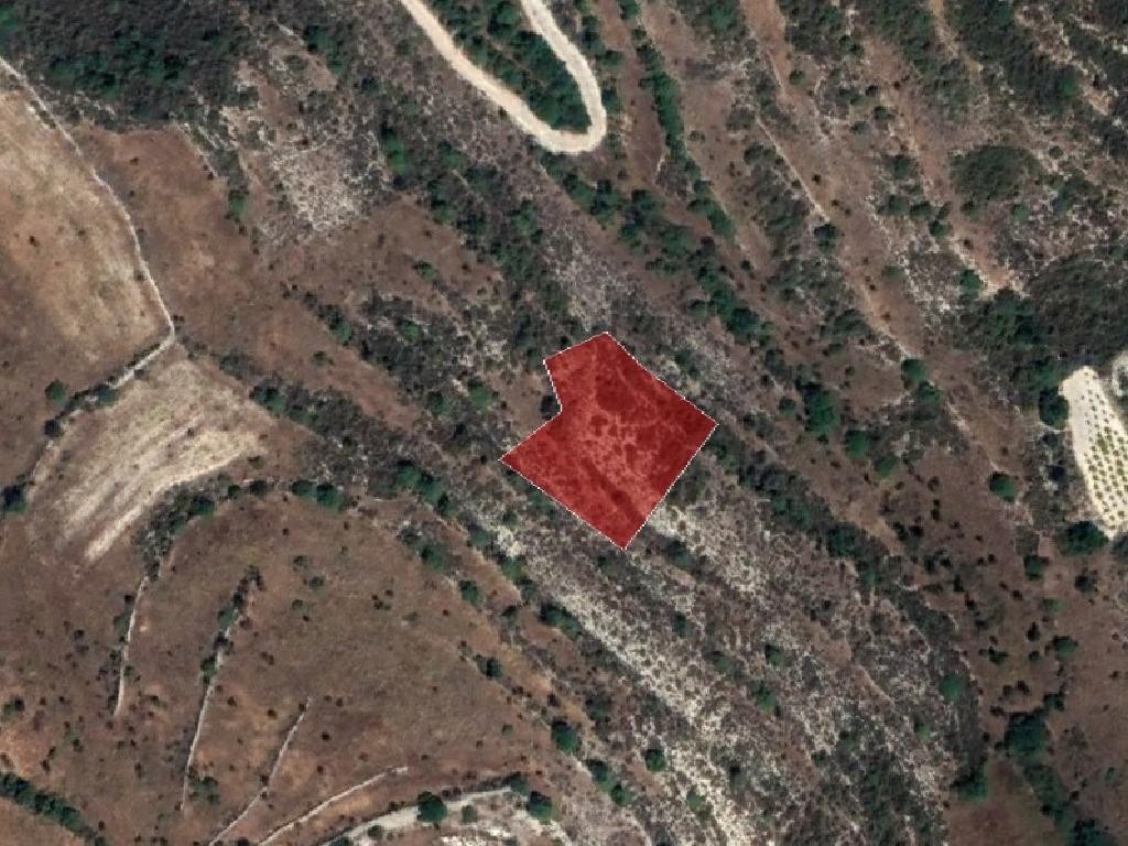 Field - Vouni, Limassol