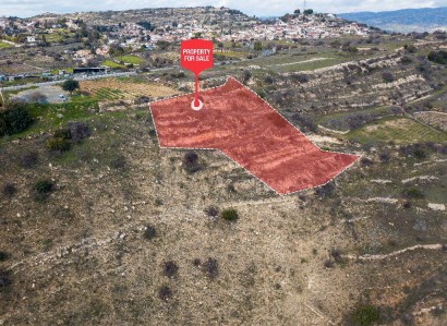 Pachna, Limassol Agricultural Field For Sale | WW27930