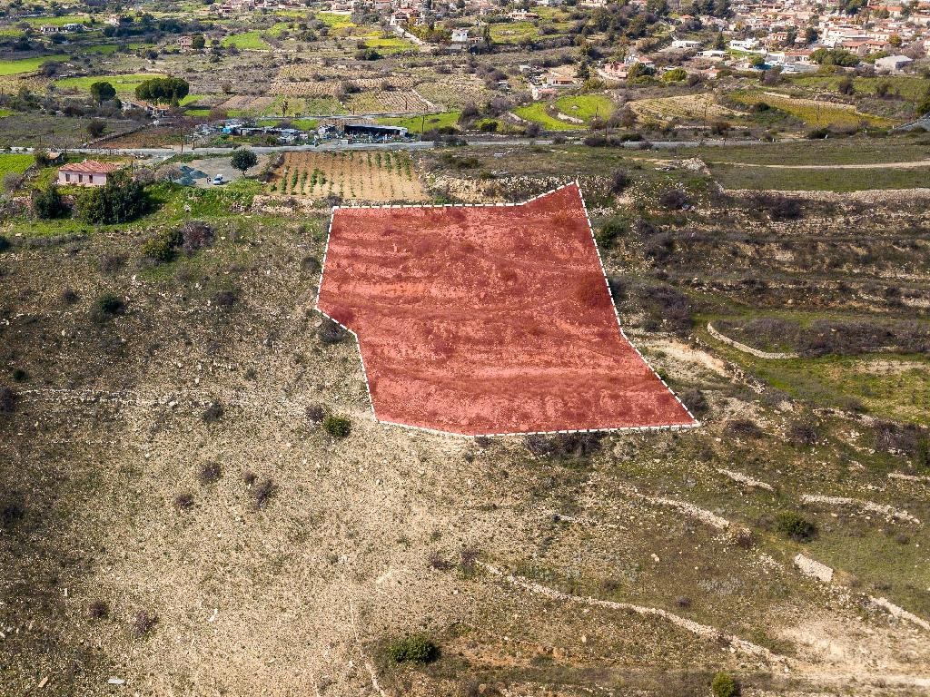 Field - Pachna, Limassol