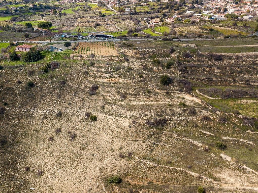 Field - Pachna, Limassol