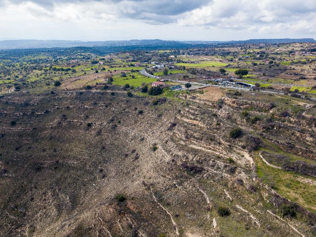 Field - Pachna, Limassol