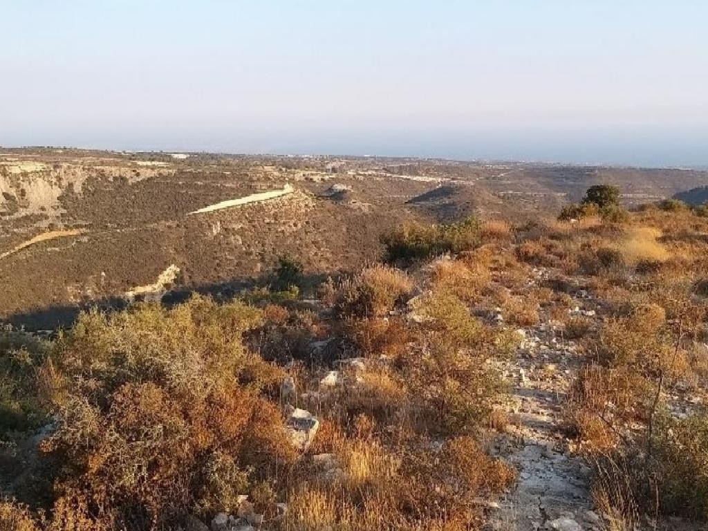 Field - Pachna, Limassol