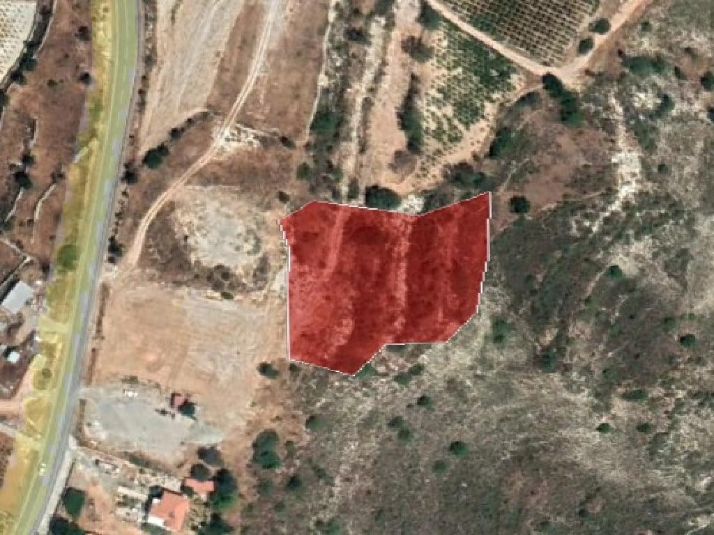 Field - Pachna, Limassol