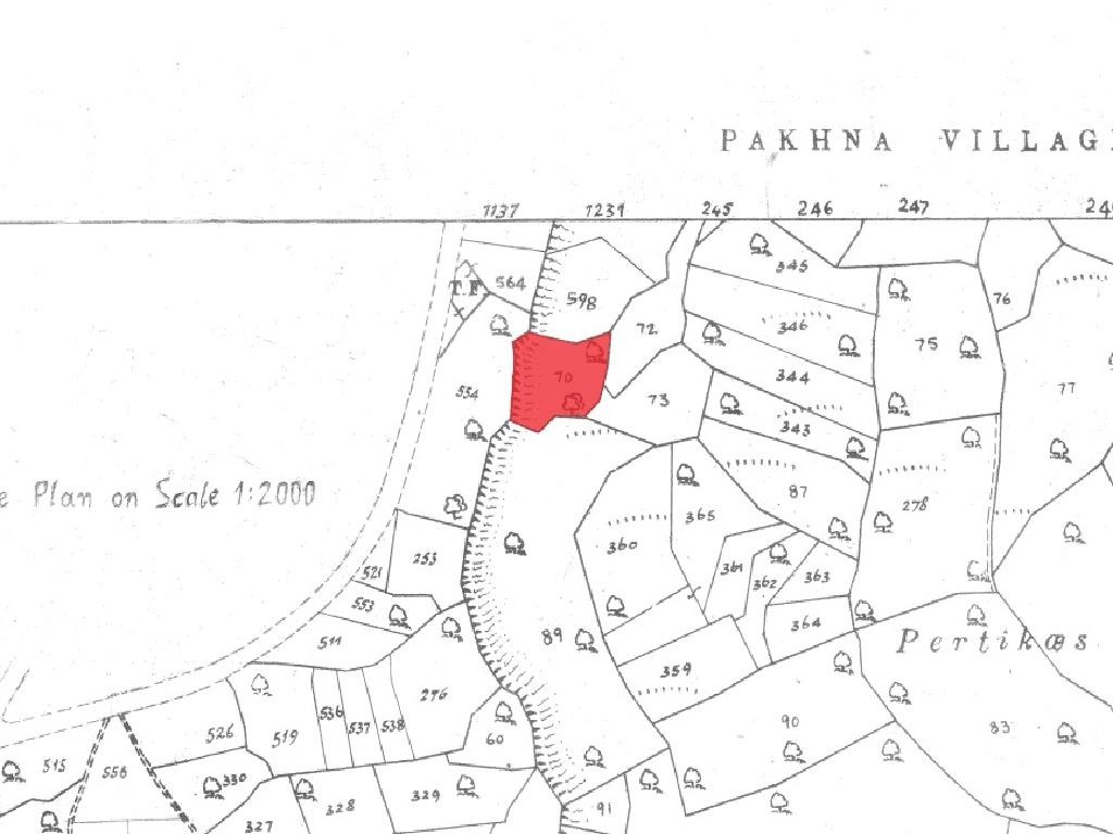 Field - Pachna, Limassol