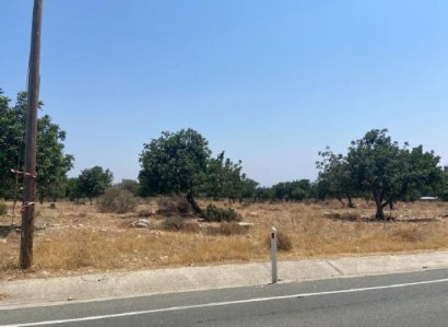 Pachna, Limassol Agricultural Field For Sale | WW27931