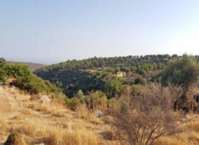 Pachna, Limassol Agricultural Field For Sale | WW27931