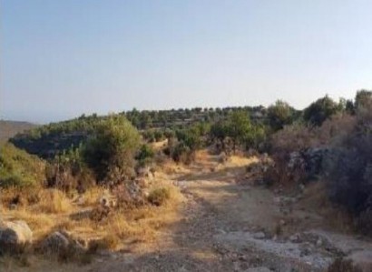 Pachna, Limassol Agricultural Field For Sale | WW27931