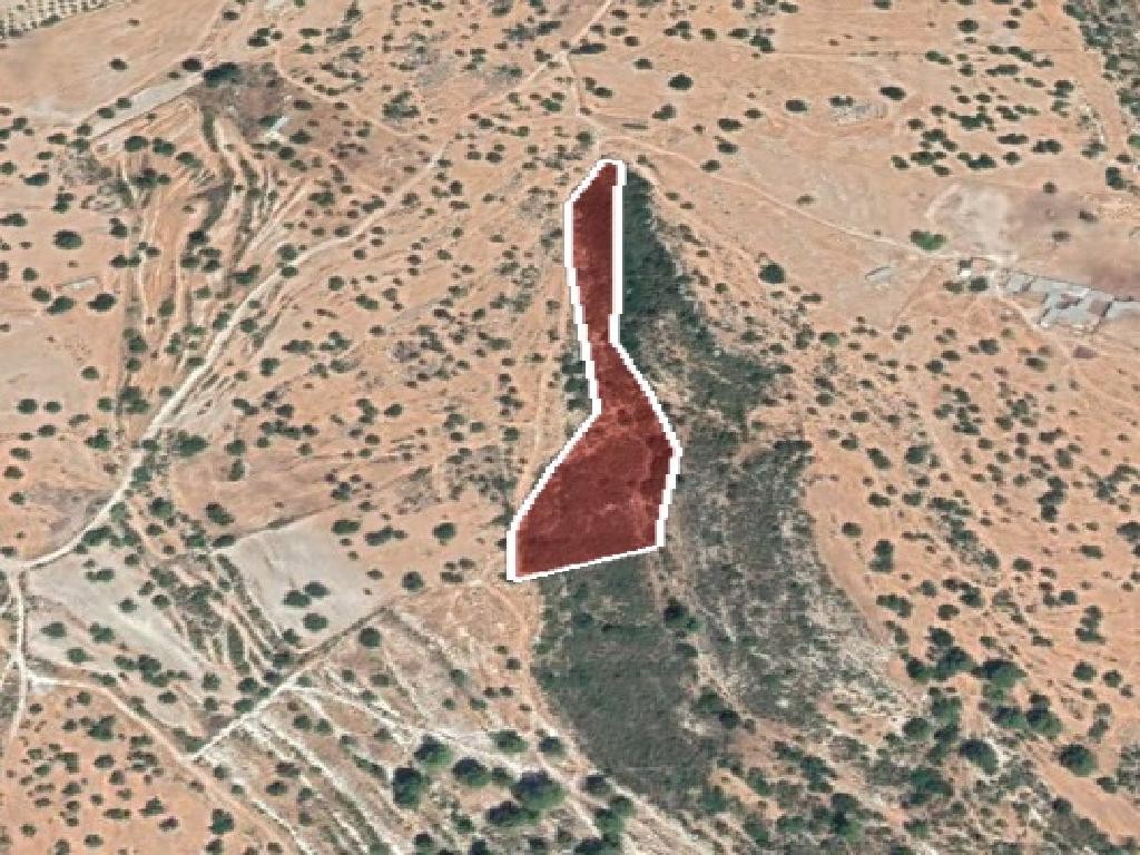 Field - Pachna, Limassol