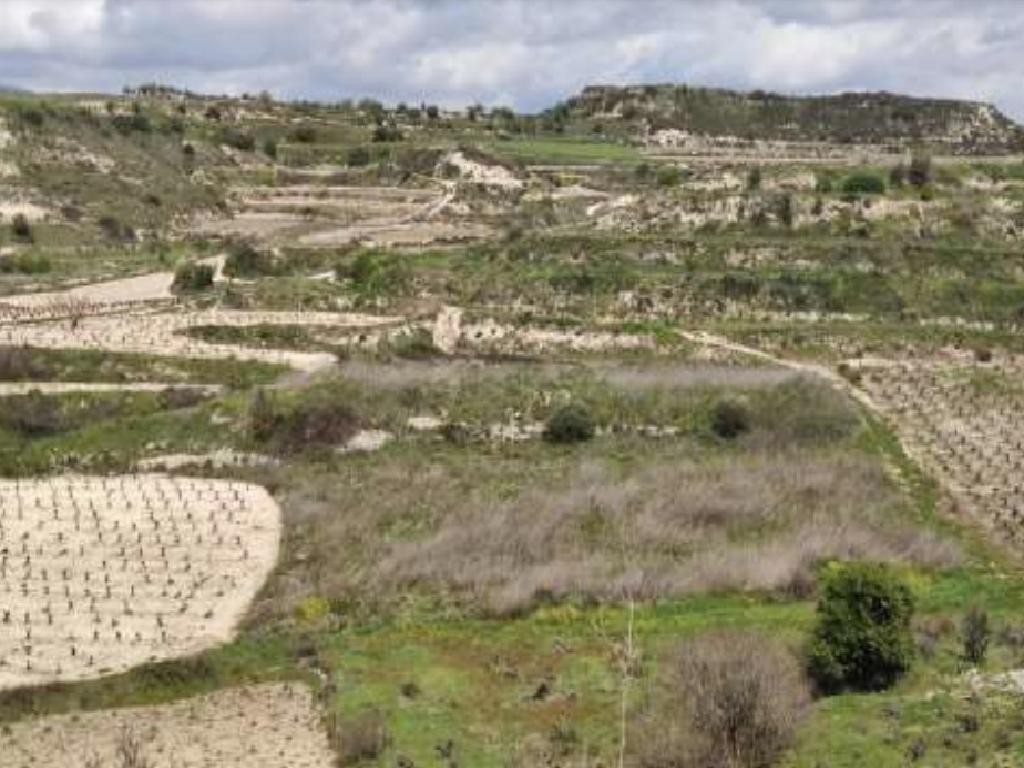Pachna, Limassol Agricultural Field For Sale | WW27935