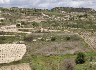 Pachna, Limassol Agricultural Field For Sale | WW27935