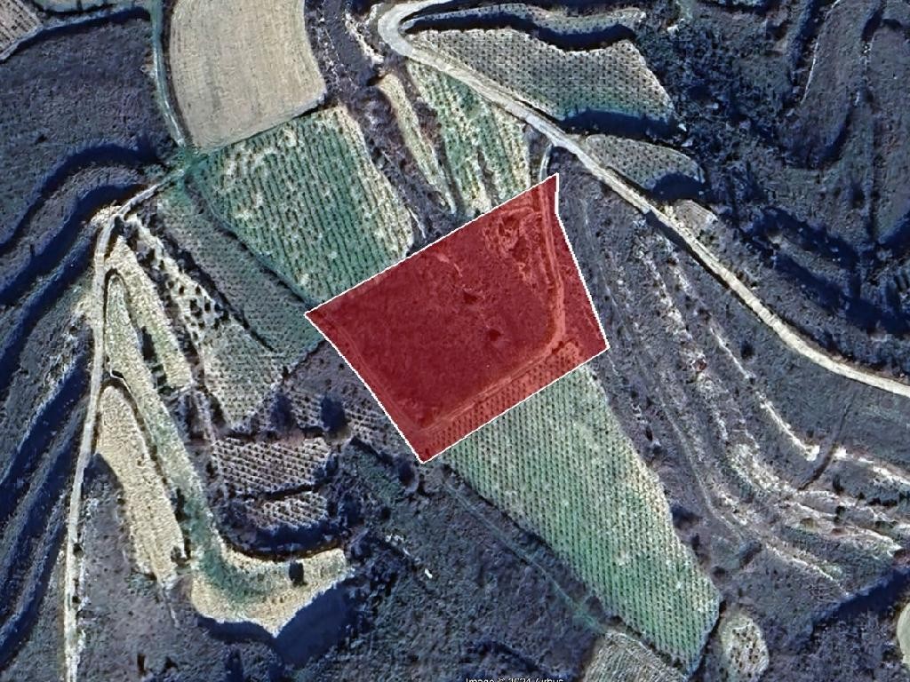 Field - Pachna, Limassol