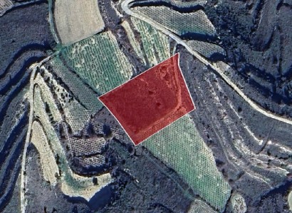 Pachna, Limassol Agricultural Field For Sale | WW27935